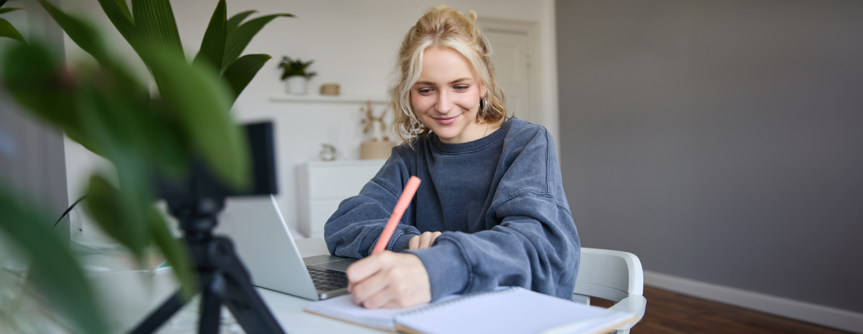 Terms and conditions - TeleTraining